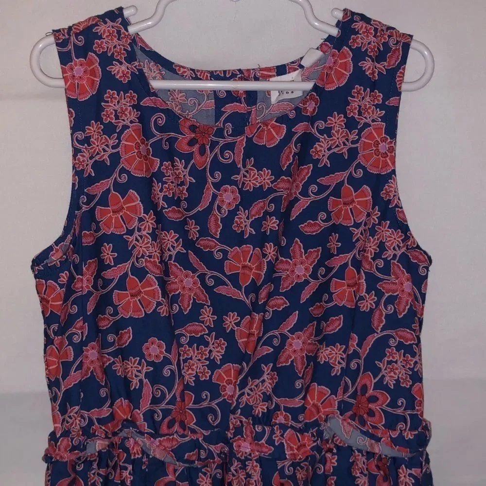 Gap Red & Blue Floral Print Dress